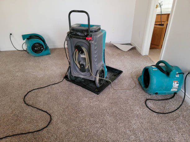 Best Flood restoration services  in Conshohocken, PA