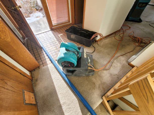 Best Water damage restoration mold remediation  in Conshohocken, PA