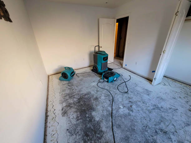 Best Professional water damage repair  in Conshohocken, PA