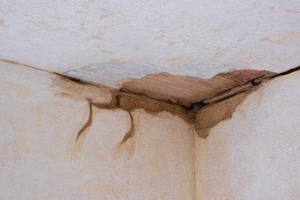 Best Water damage restoration insurance claims  in Conshohocken, PA