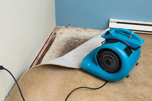 Water damage restoration mold remediation in Conshohocken, PA